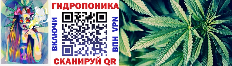 Канабис планчик  Купить где  Ветлуга 